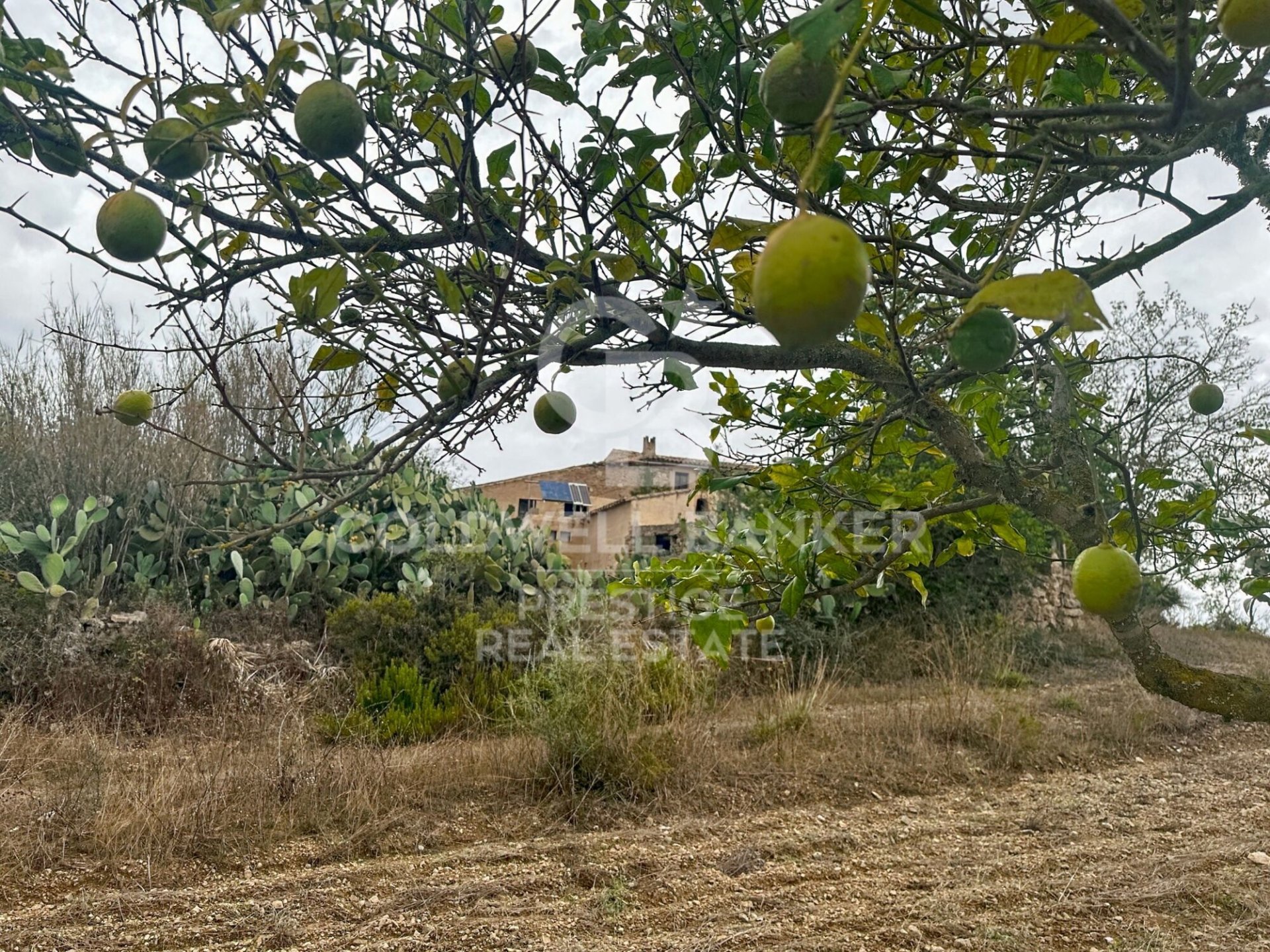 House à Arta, Mallorca, Espagne 5 chambres, 501 m2 No. 160066