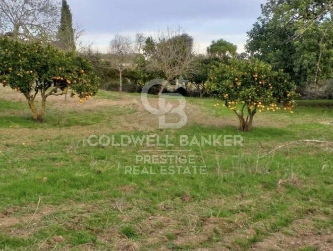 House à Arta, Mallorca, Espagne 5 chambres, 501 m2 No. 160066