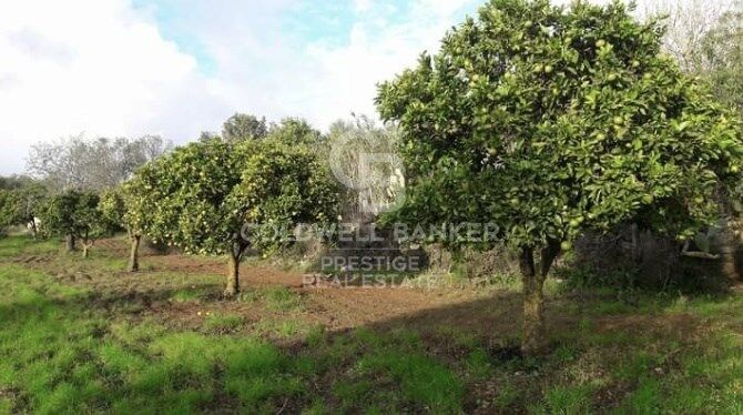 House à Arta, Mallorca, Espagne 5 chambres, 501 m2 No. 160066