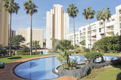 Apartment in Rincon De Loix, Alicante, Spain 1 bedroom,  No. 183541