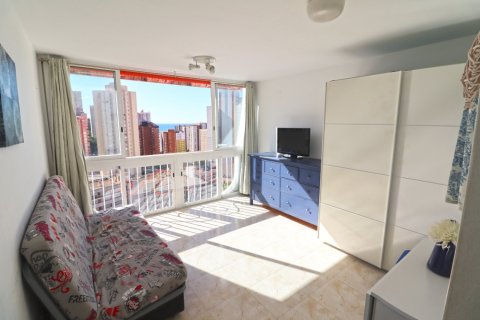 Apartment in Rincon De Loix, Alicante, Spain 1 room,  No. 183543