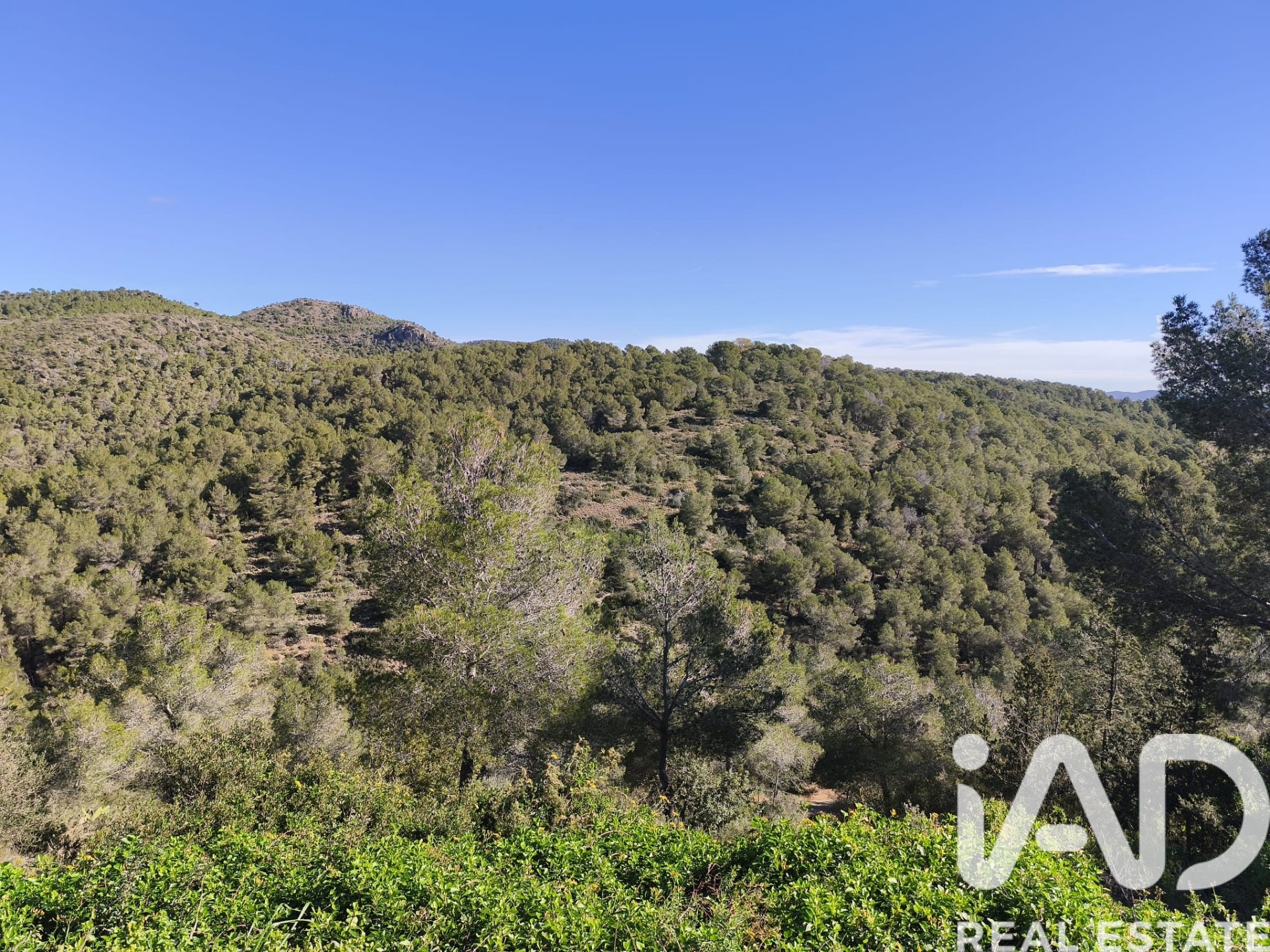 Land plot in La Bisbal Del Penedes, Tarragona, Spain 636 sq.m. No. 185272