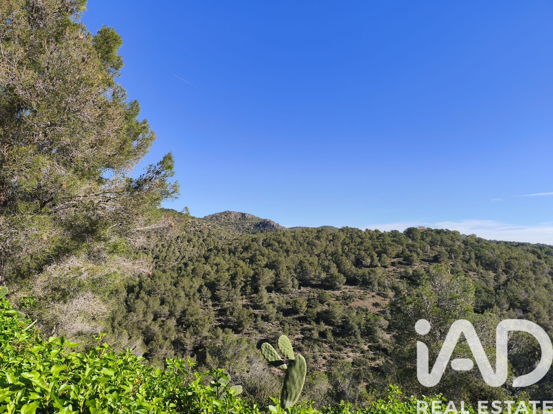 Land plot in La Bisbal Del Penedes, Tarragona, Spain 636 sq.m. No. 185272