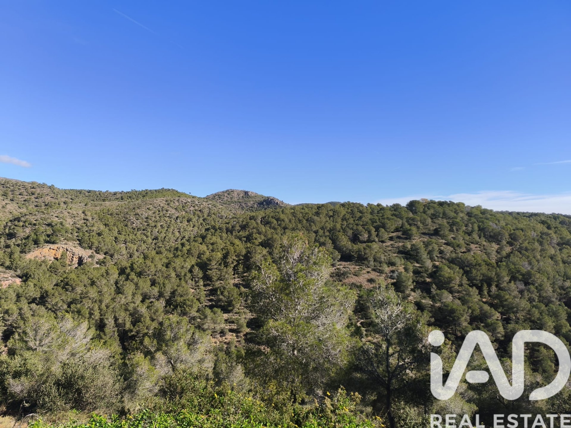 Land plot in La Bisbal Del Penedes, Tarragona, Spain 636 sq.m. No. 185272