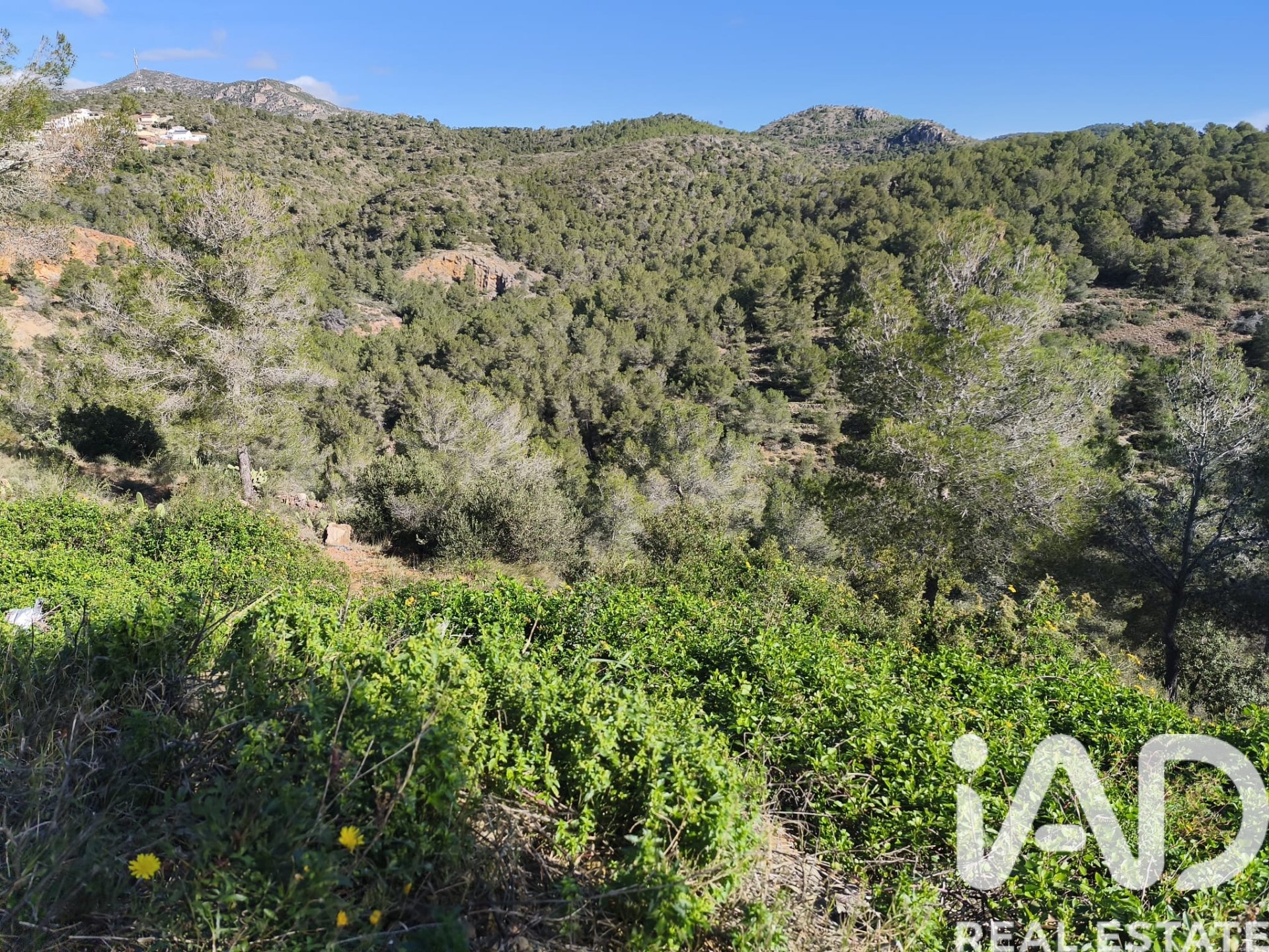 Land plot in La Bisbal Del Penedes, Tarragona, Spain 636 sq.m. No. 185272