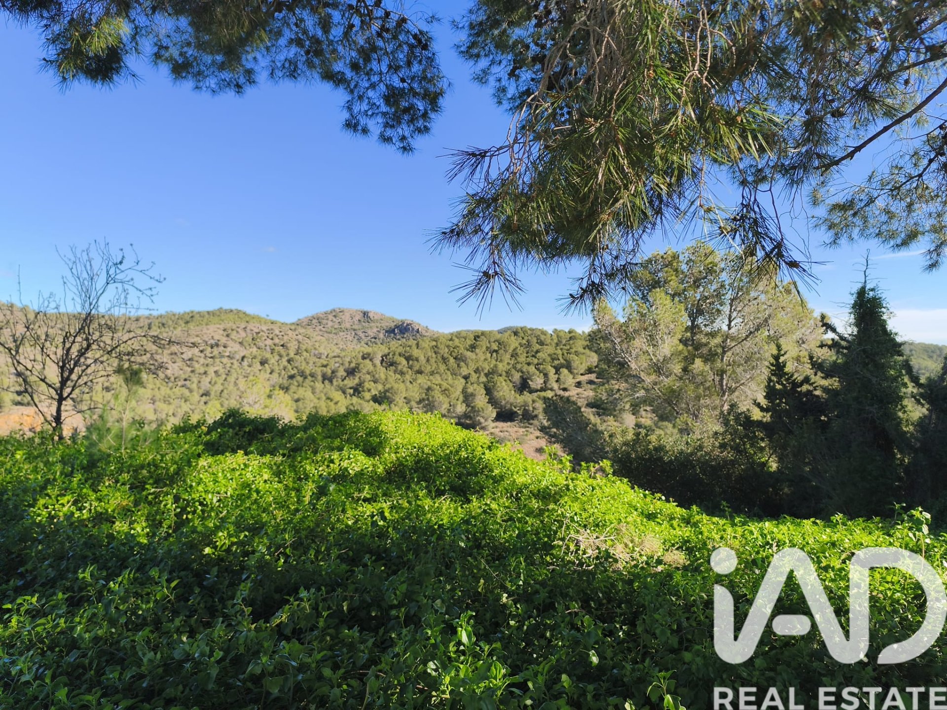 Land plot in La Bisbal Del Penedes, Tarragona, Spain 636 sq.m. No. 185272