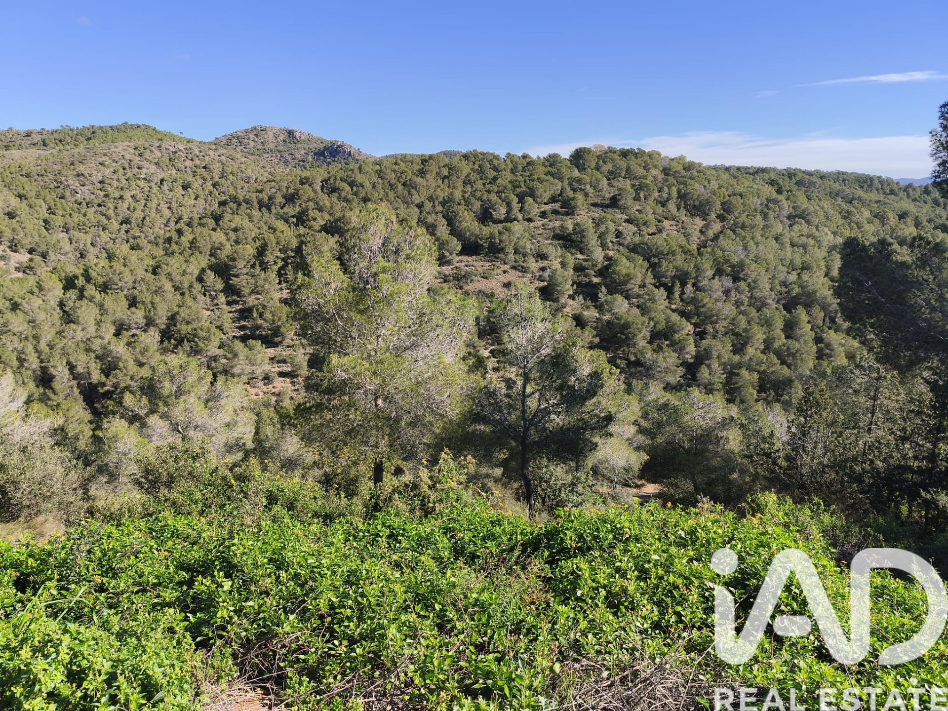 Land plot in La Bisbal Del Penedes, Tarragona, Spain 636 sq.m. No. 185272
