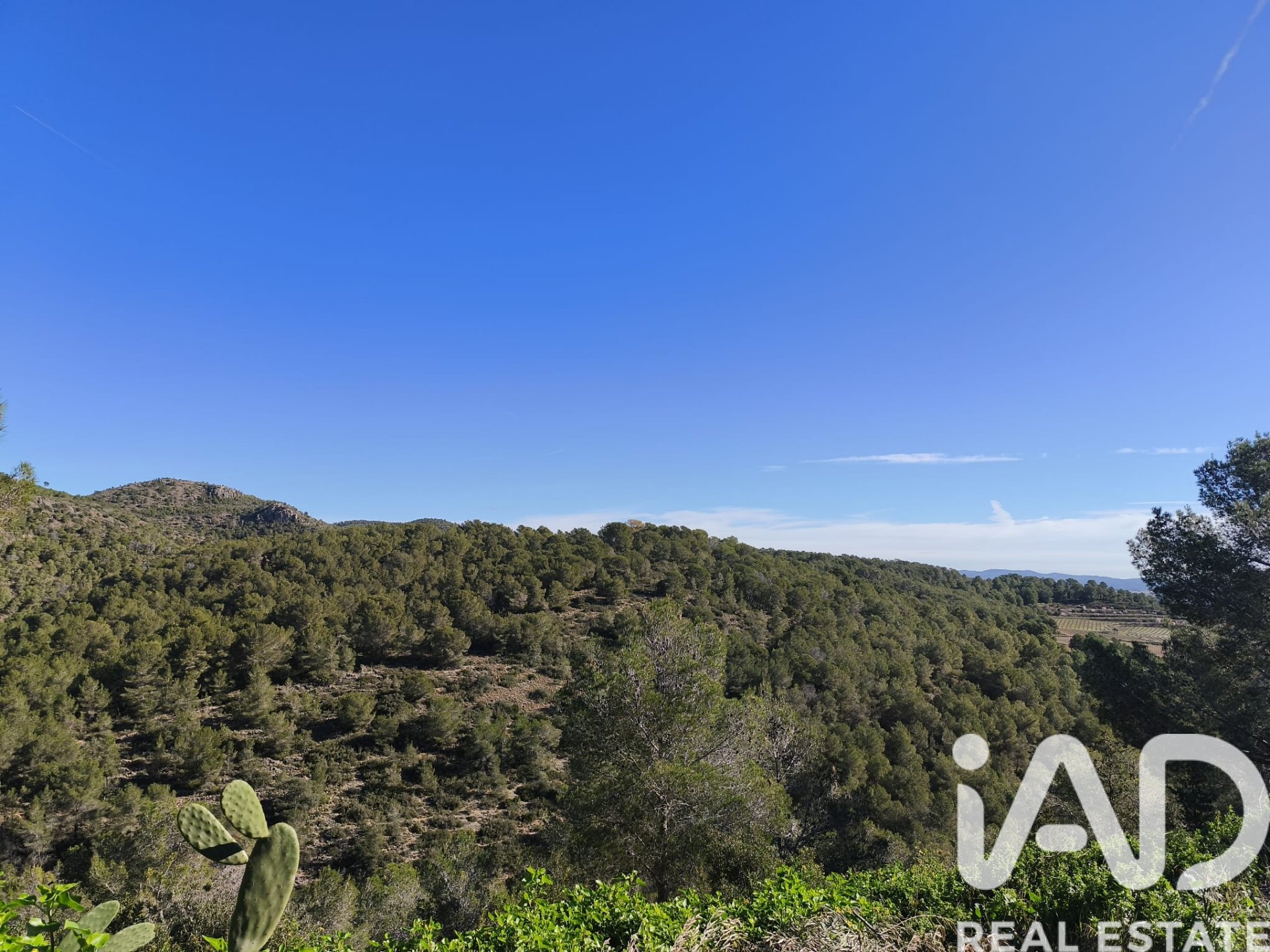 Land plot in La Bisbal Del Penedes, Tarragona, Spain 636 sq.m. No. 185272