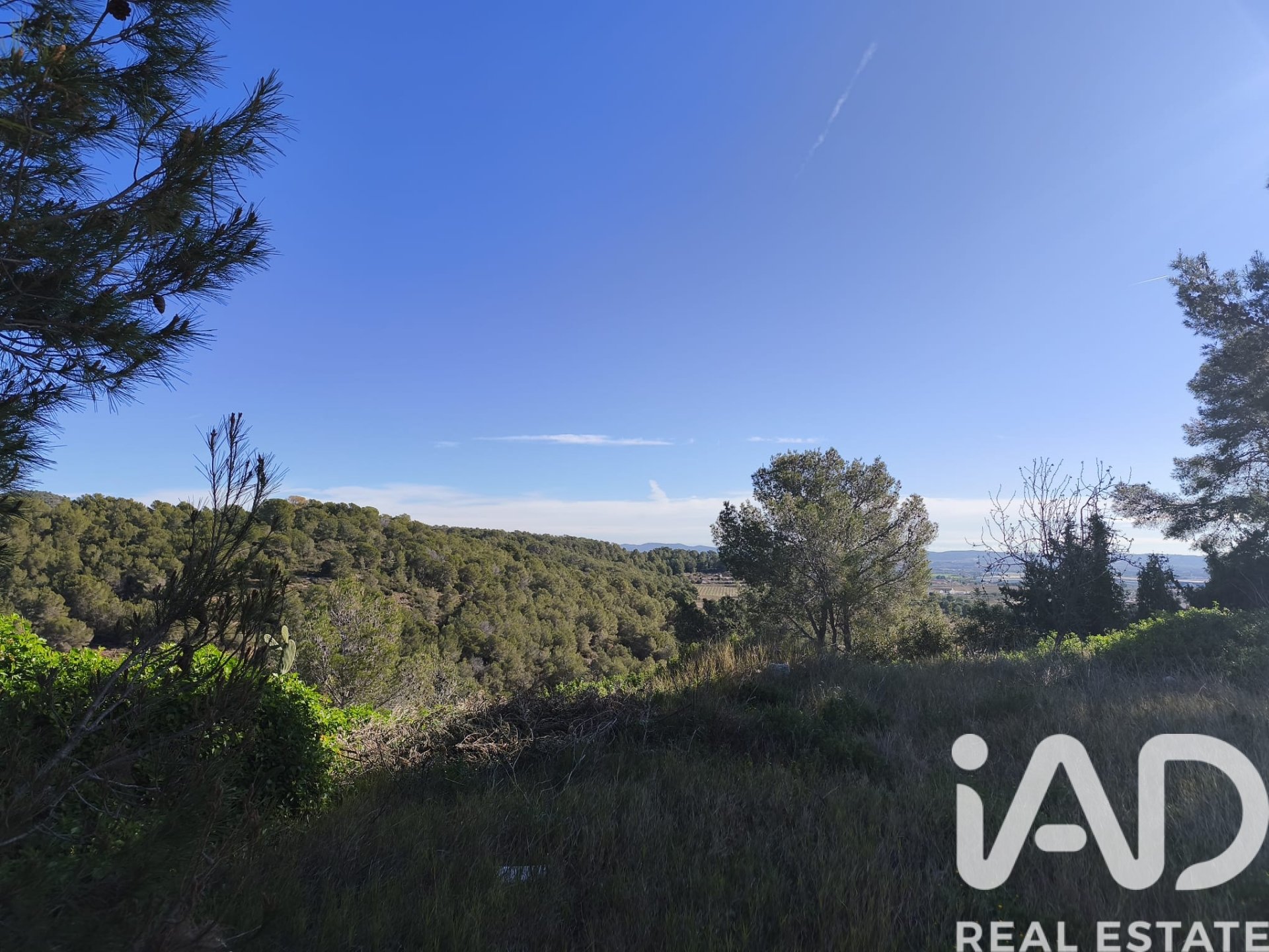 Land plot in La Bisbal Del Penedes, Tarragona, Spain 636 sq.m. No. 185272