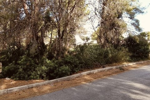 Zemes gabals L'Ametlla de Mar, Tarragona, Spānijā 576 m2 Nr. 186167