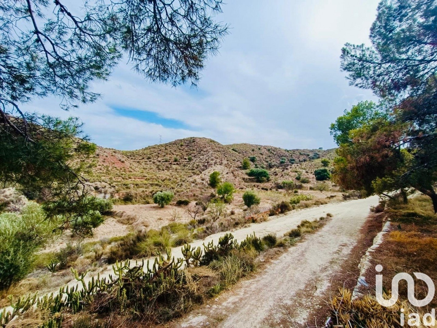 Zemes gabals Xixona, Alicante, Spānijā 24000 m2 Nr. 186162