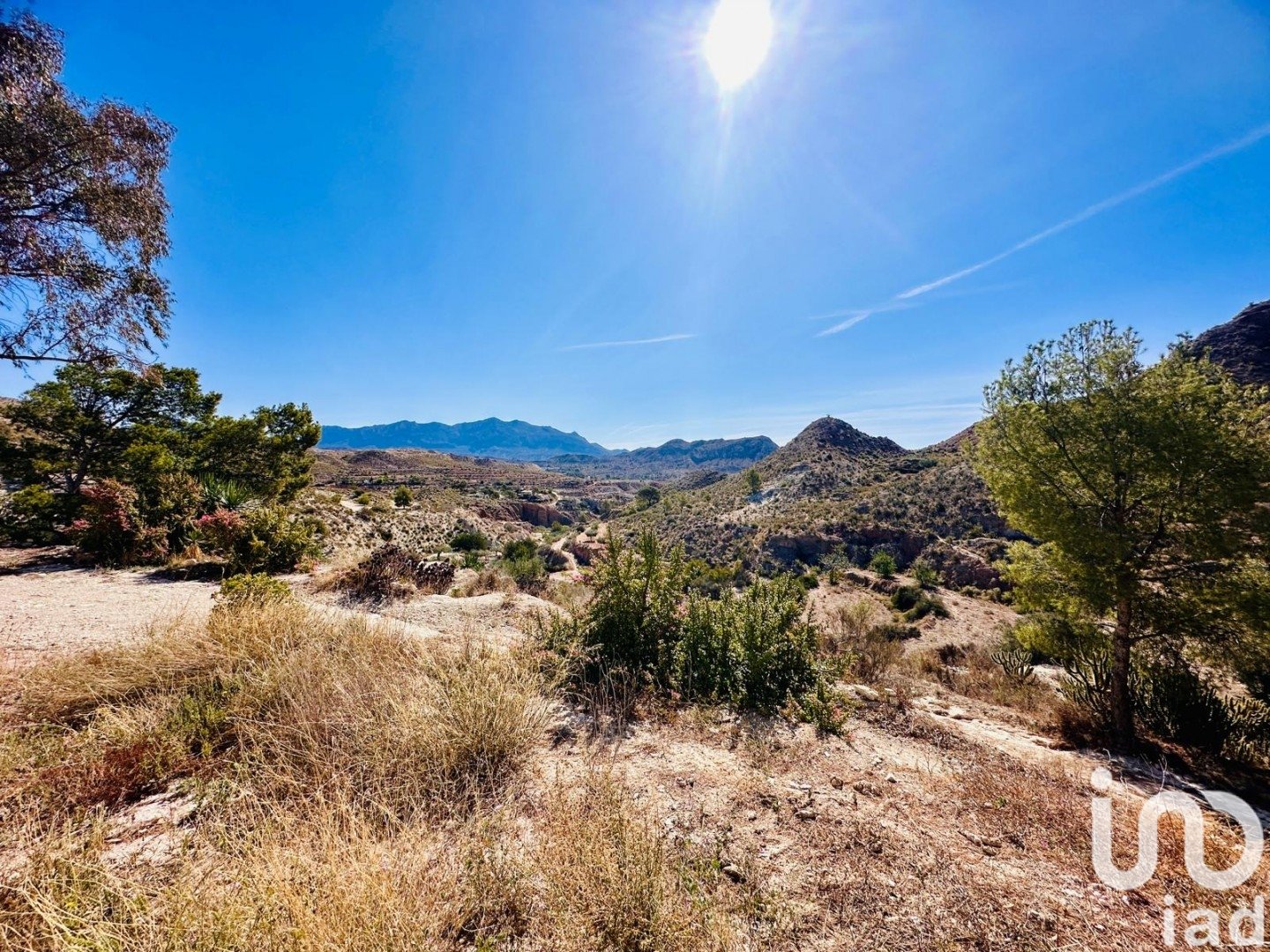 Zemes gabals Xixona, Alicante, Spānijā 24000 m2 Nr. 186162
