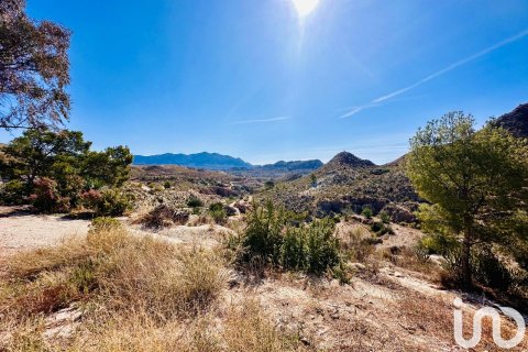Terreno a Xixona, Alicante, Spagna 24000 mq. N° 186162