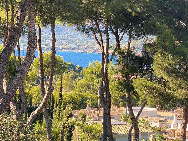 Villa in Nova Santa Ponsa, Mallorca, Spain 5 bedrooms, 320 sq.m. No. 103220