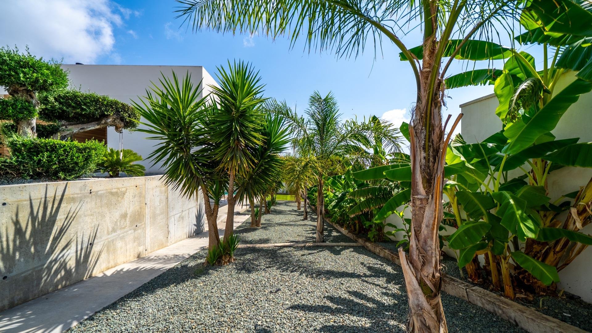 Villa Alicante, Spānijā 5 istabas, 361 m2 Nr. 181684