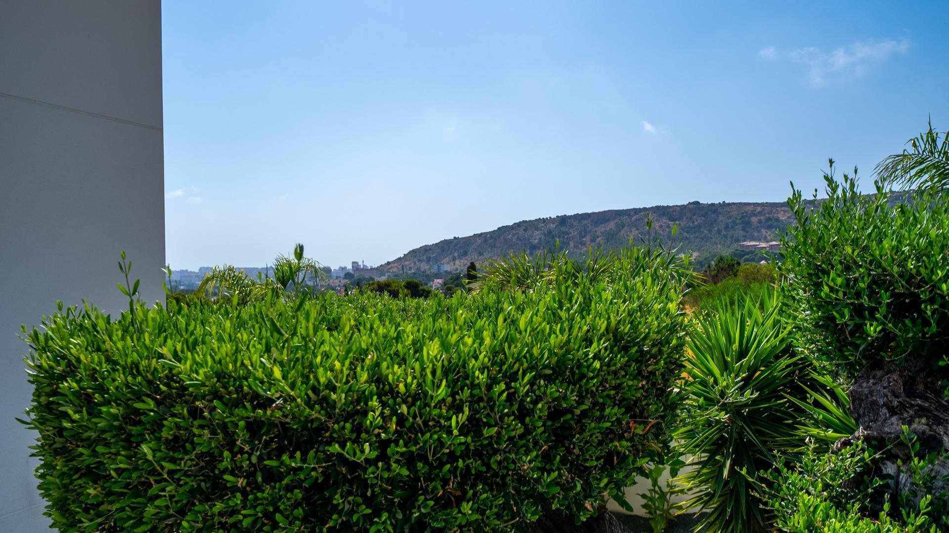 Villa Alicante, Spānijā 5 istabas, 361 m2 Nr. 181684