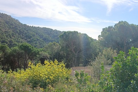 Land plot à Sant Cebria De Vallalta, Barcelona, Espagne 668 m2 No. 185012