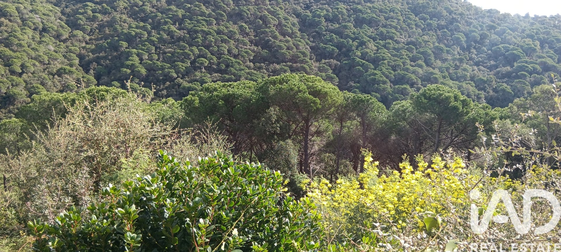 Land plot in Sant Cebria De Vallalta, Barcelona, Spain 668 sq.m. No. 185012