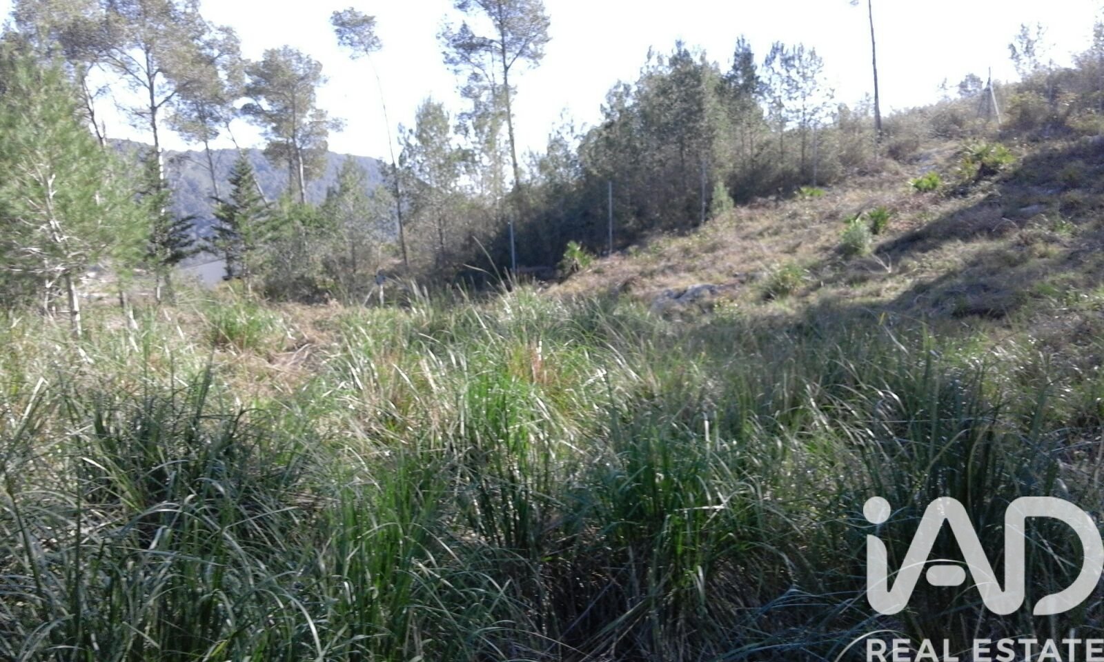 Parcela en Olivella, Barcelona, España 965 m2 No. 185011