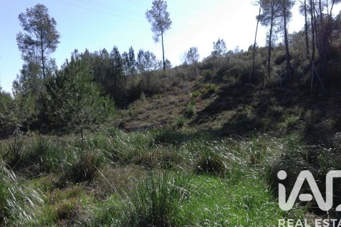 Tontti Olivella, Barcelona, Espanja 965 m2 No. 185011