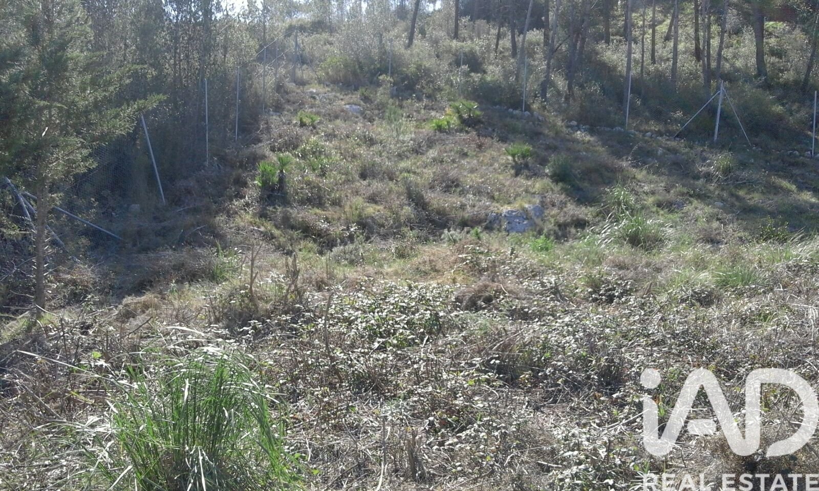 Parcela en Olivella, Barcelona, España 965 m2 No. 185011