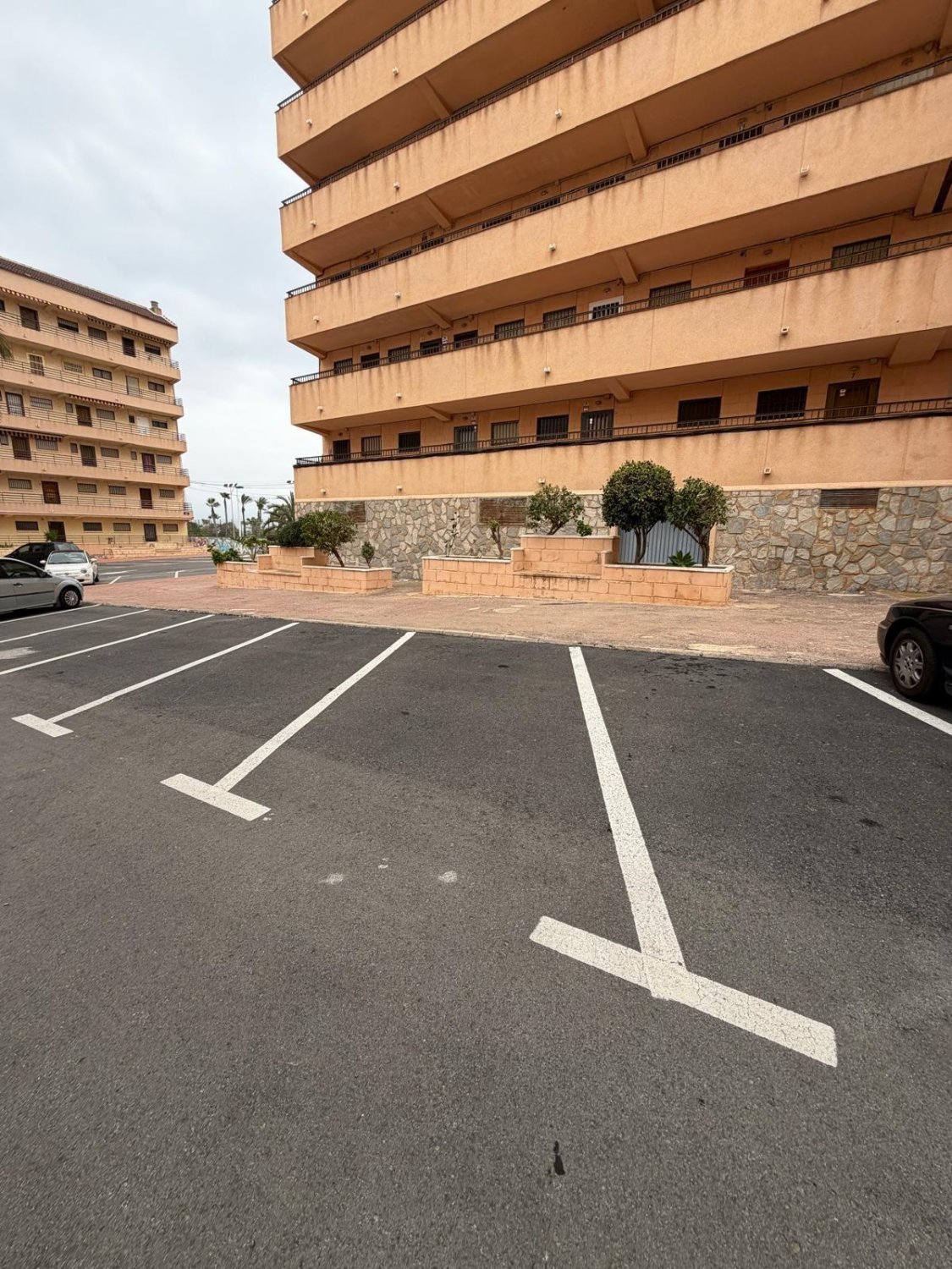 Apartamento en Torrevieja, Alicante, España 1 dormitorio, 35 m2 No. 182949