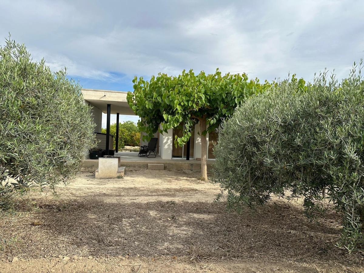 House in San Miguel de Salinas, Alicante, Spanien 100 m2 Nr. 100052