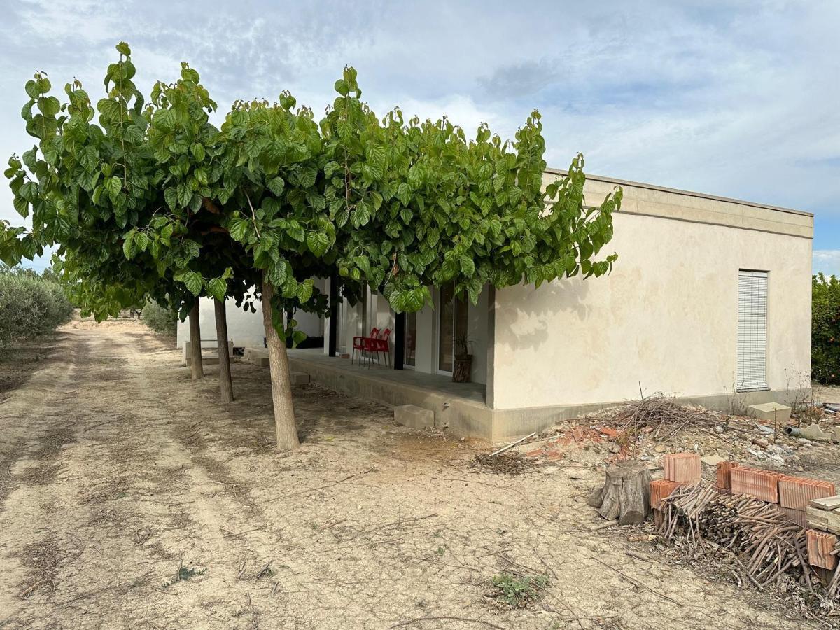 House in San Miguel de Salinas, Alicante, Spanien 100 m2 Nr. 100052
