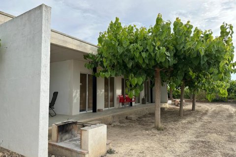 House à San Miguel de Salinas, Alicante, Espagne 100 m2 No. 100052