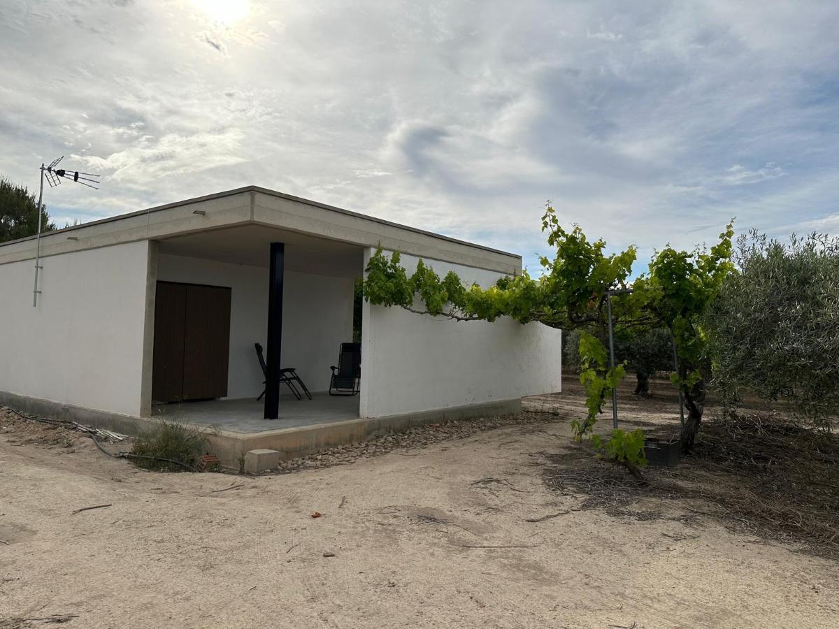 House in San Miguel de Salinas, Alicante, Spanien 100 m2 Nr. 100052