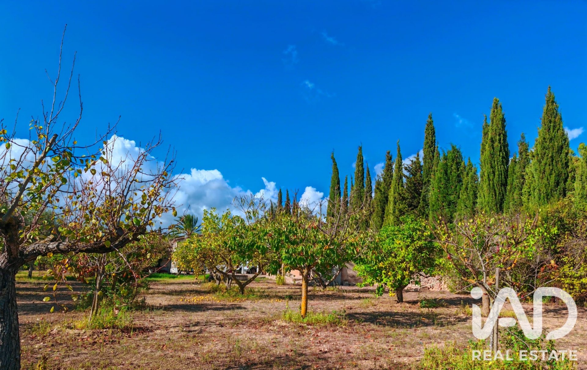Talo Palma de Majorca, Mallorca, Espanja 8 makuuhuonetta, 588 m2 No. 195828