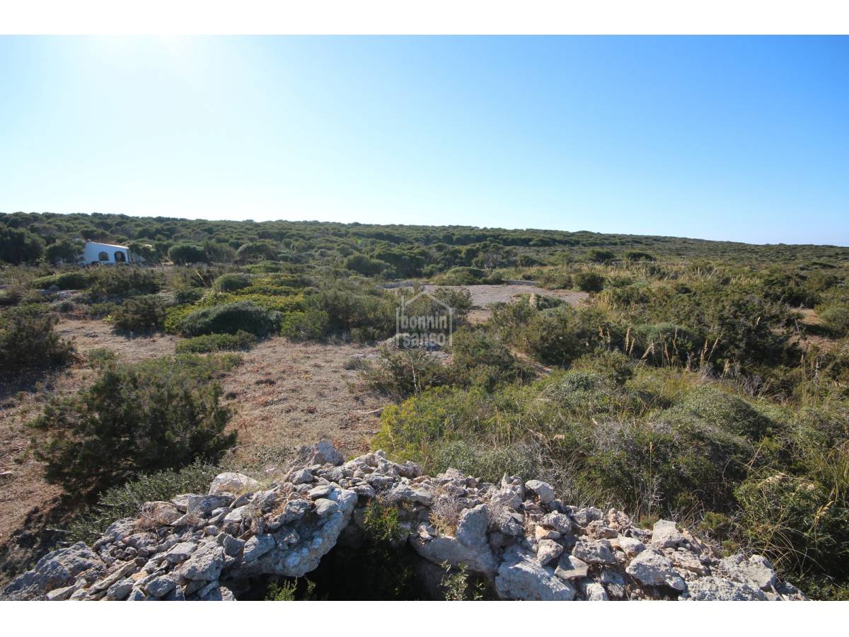 Parcela en Ciutadella De Menorca, Menorca, España No. 183227