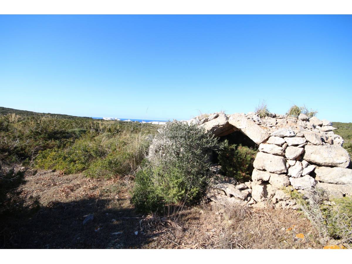 Parcela en Ciutadella De Menorca, Menorca, España No. 183227