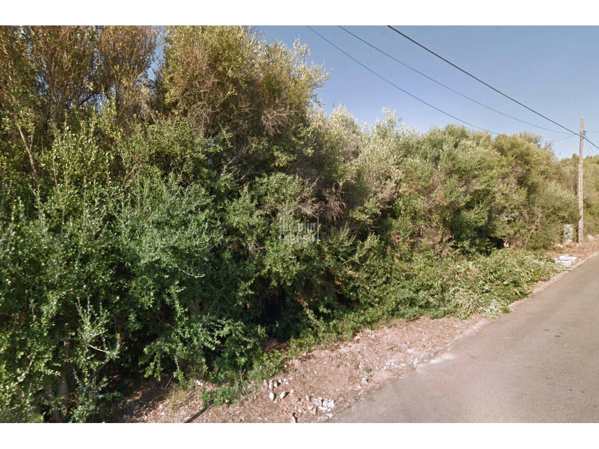 Land plot in Mahon, Menorca, Spain No. 183222
