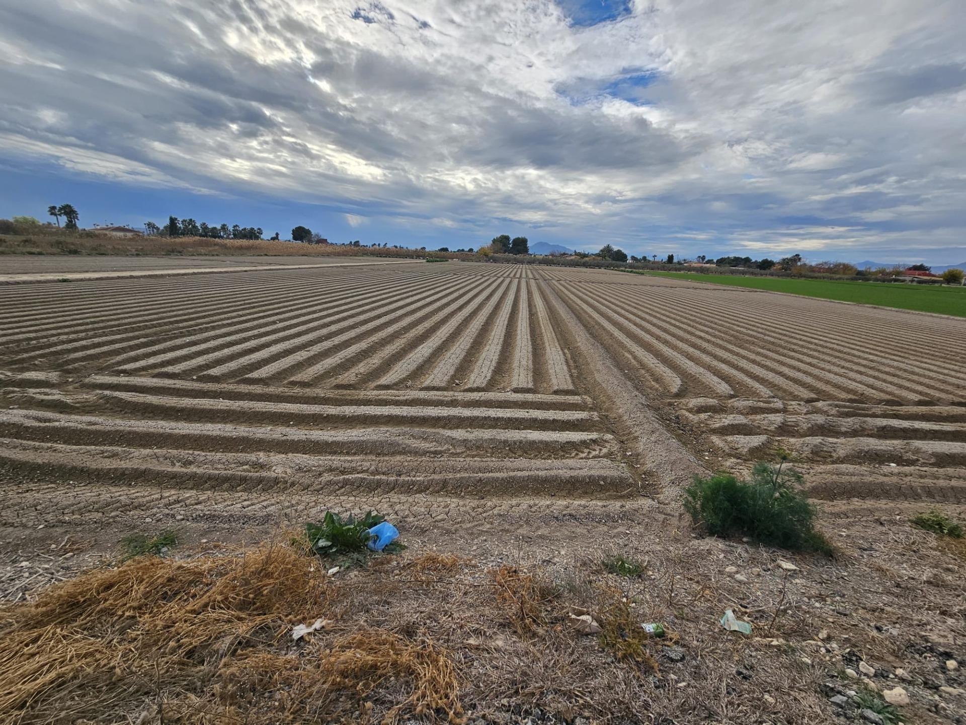 Land plot in Dolores, Alicante, Spain No. 183613