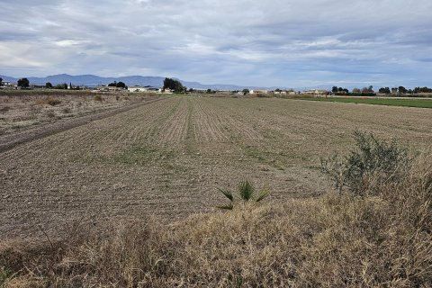 Parcela en Dolores, Alicante, España No. 183613