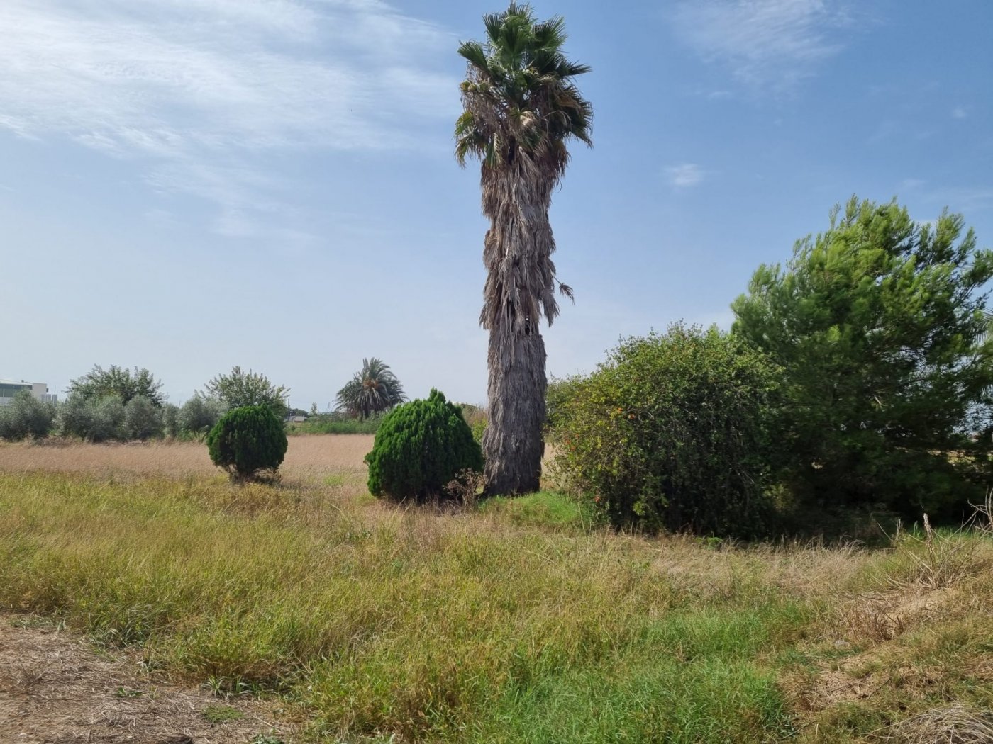Сasa en Dolores, Alicante, España 200 m2 No. 183611