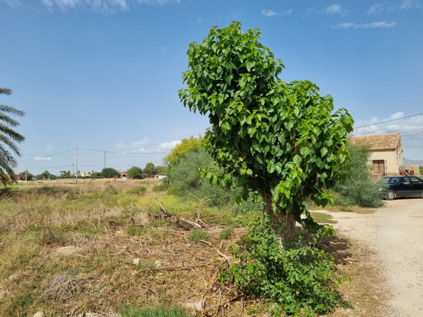 Сasa en Dolores, Alicante, España 200 m2 No. 183611