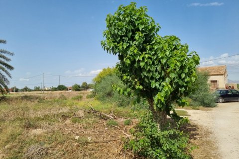 Hus i Dolores, Alicante, Spanien 200 kvm. Nr. 183611