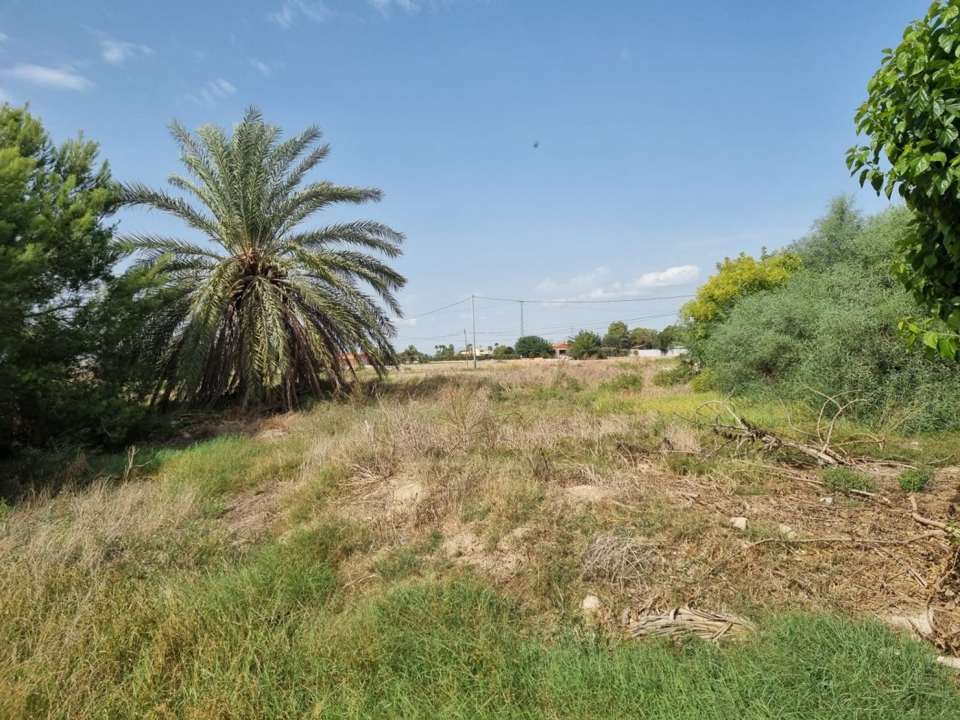 Сasa en Dolores, Alicante, España 200 m2 No. 183611