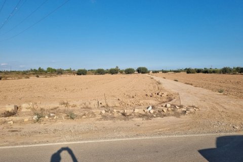 Zemes gabals Crevillent, Alicante, Spānijā Nr. 183612