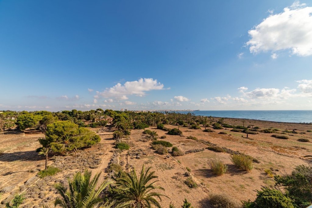 Apartment à Punta Prima, Alicante, Espagne 2 chambres, 68 m2 No. 145417