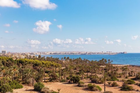 Apartament w Punta Prima, Alicante, Hiszpania 2 sypialnie, 68 mkw. nr 145417