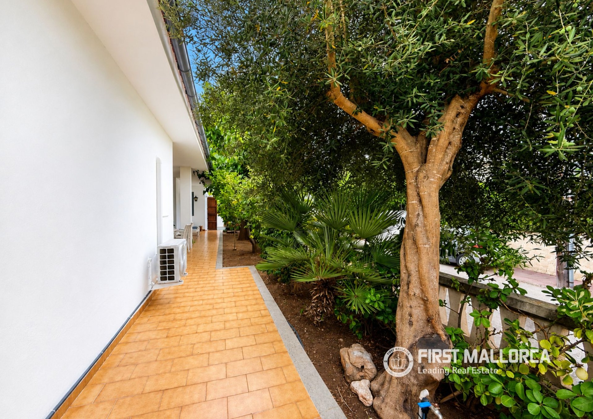 Villa a Platja De Muro, Mallorca, Spagna 4 camere da letto, 303 mq. N° 196135