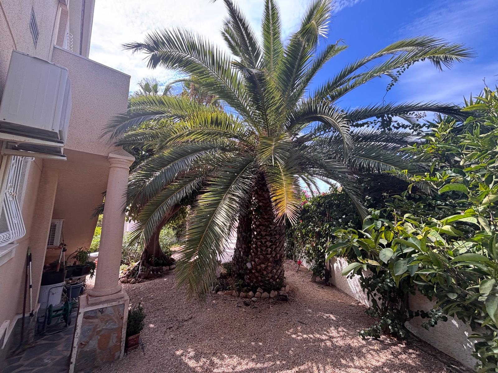 Villa Ciudad Quesada, Alicante, Spānijā 3 istabas, 115 m2 Nr. 196825