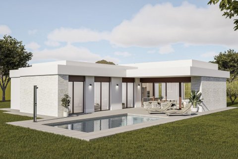 Villa en Pinoso, Alicante, España 3 dormitorios, 140 m2 No. 179997