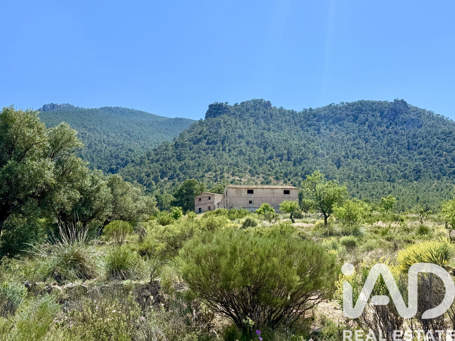 Zemes gabals Cieza, Murcia, Spānijā 120000 m2 Nr. 172951