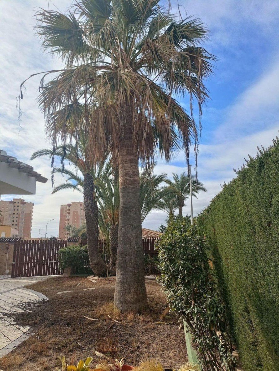 Villa à Alicante, Espagne 4 chambres, 212 m2 No. 180596