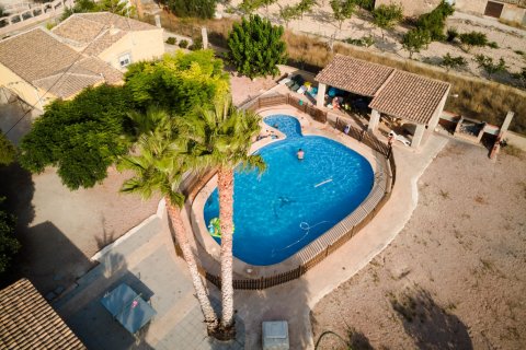 Villa in La Romana, Alicante, Spain 3 bedrooms, 200 sq.m. No. 116375