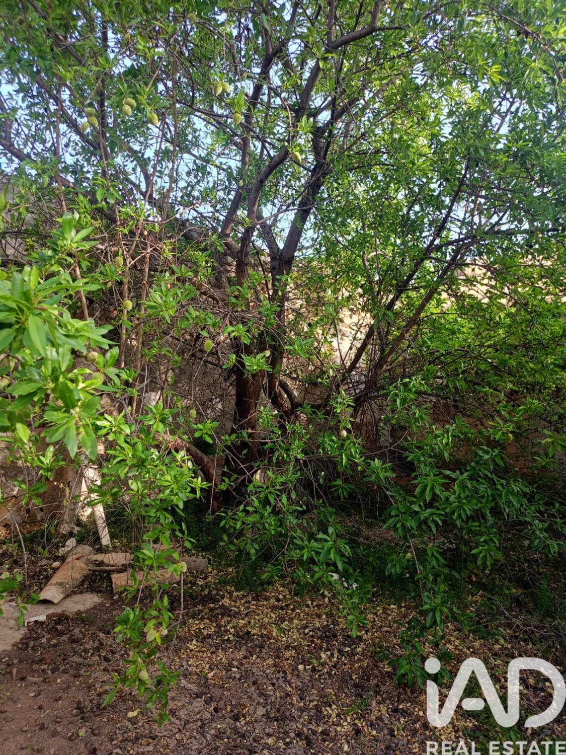 Willa w Lorca, Murcia, Hiszpania 6 sypialni, 496 mkw. nr 184725